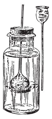 Kök tüyleri toprak-su, vintage çizgi çizme veya oyma illüstrasyon almak için nasıl kullanıldığını göstermek için kullanılan bir aparat.