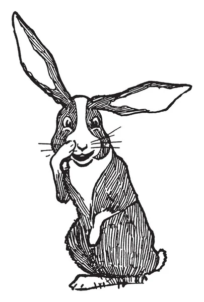 Кролик Царапает Нос Этой Картинке Кролик Царапает Нос Рисует Винтажную — стоковый вектор