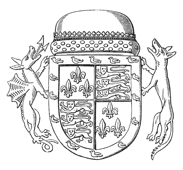 Schild Van Jaspar Tudor Zijn Tweede Zoon Van Koningin Catherine — Stockvector