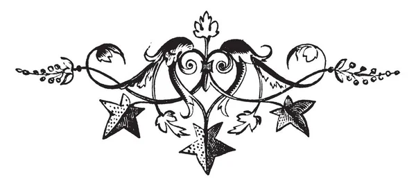 Звездный Хвост Имеет Три Звезды Темные Листья Рисунок Винтажной Линии — стоковый вектор