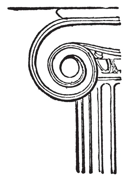 Volumen Del Capital Jónico Entero Jónico Orden Columna Base Entablamento — Archivo Imágenes Vectoriales