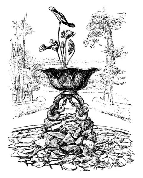 Fontaine Métal Est Sous Forme Nelumbo Dessin Ligne Vintage Illustration — Image vectorielle