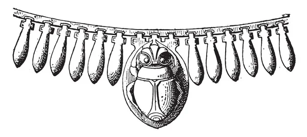 Escarabajo Collar Egipcio Ilustración Grabada Vintage Vida Privada Antigua Antigua — Archivo Imágenes Vectoriales