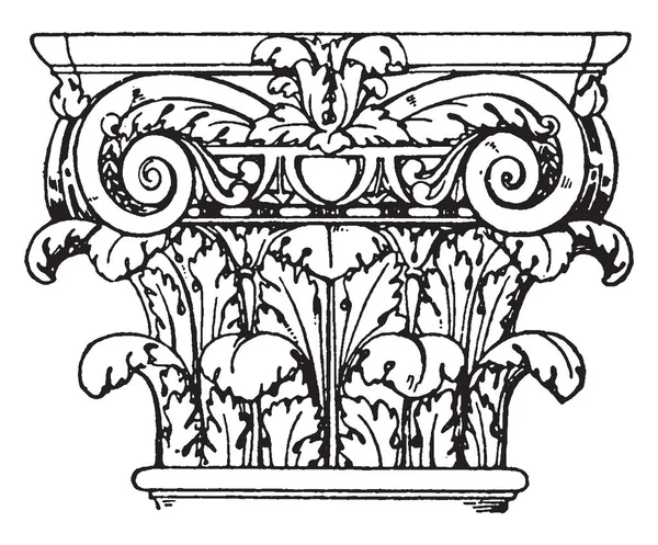 Capital Compuesta Romana Una Fusión Las Capitales Iónicas Corintias Categoría — Archivo Imágenes Vectoriales