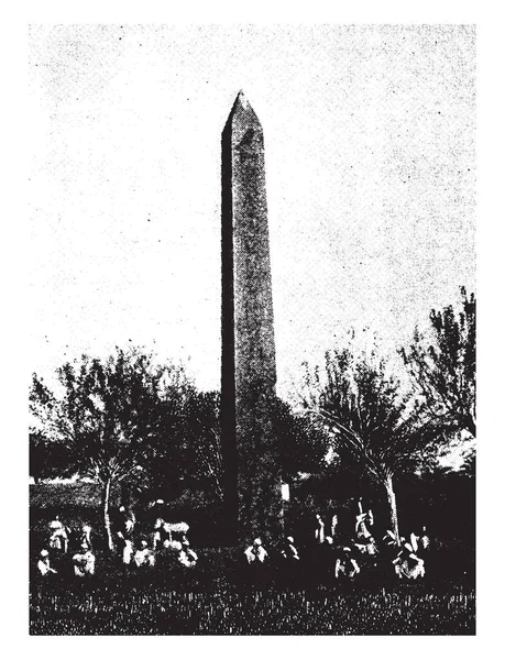 리스크 그리스 이집트 Heliopolis Obelisk 일반적으로 화강암 하나의 빈티지 그림의 — 스톡 벡터