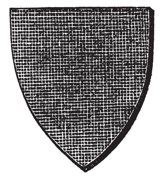 Sable Shield Mostrado Pelas Linhas Cruzamento Desenho Linha Vintage Gravura —  Vetores de Stock