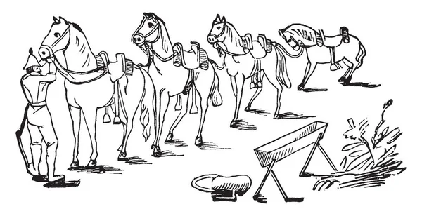 Kuda Dengan Pelana Adalah Cara Utama Mana Pelana Diukur Dan - Stok Vektor