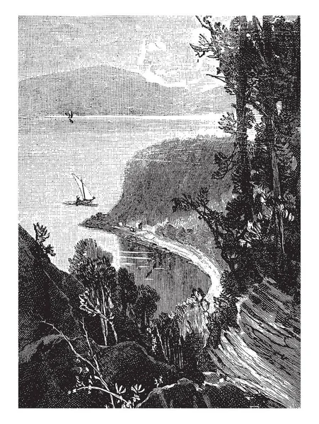 ケベック州 ヴィンテージの線描画や彫刻イラストでウルフの入り江 — ストックベクタ