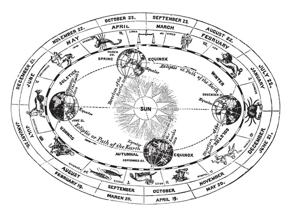 Influenza Del Sole Sulla Posizione Della Terra Base Cui Diviso — Vettoriale Stock