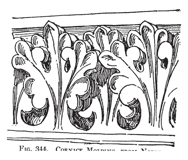 Cornice Molding Rond Bovenrand Van Een Voetstuk Gooi Regenwater Vrij — Stockvector