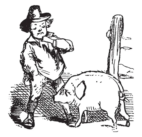 Jack Sprat Pig Scene Shows Man Hat Head Looking Pig — 图库矢量图片