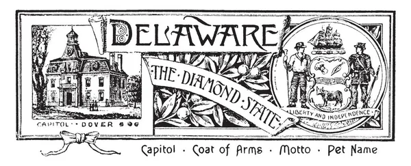 Pancarta Estatal Delaware Estado Del Diamante Esta Pancarta Tiene Una — Archivo Imágenes Vectoriales