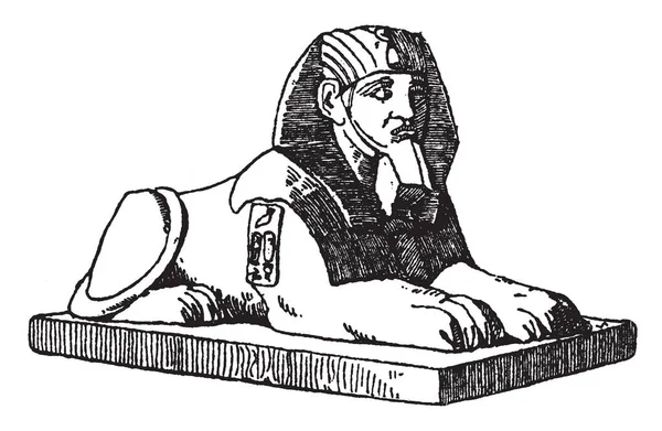 Číhající Sfinga Kombinací Lidské Poprsí Tělem Lva Vintage Kreslení Čar — Stockový vektor
