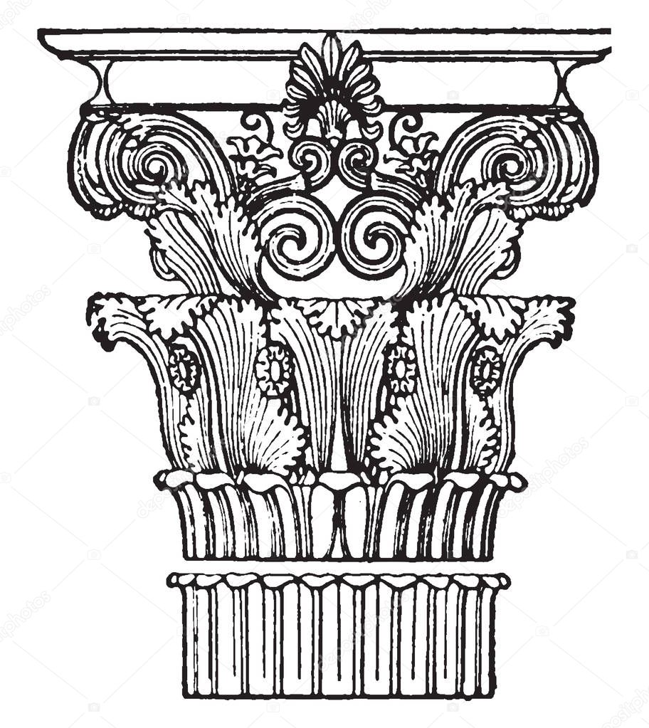 Greek capital, Corinthian, the Greek city, state of Corinth,  created by the sculptor Callimachus, drew acanthus leaves growing, vintage line drawing or engraving illustration. 