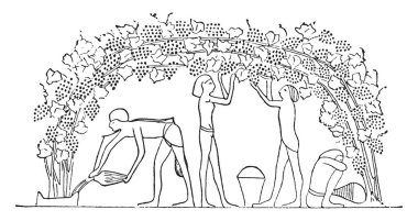 Düzenlenmiş arbor beşik, vintage oyulmuş illüstrasyon