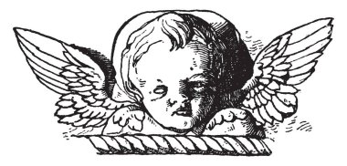 Melek yüzlü erken İtalyan Renascence, vintage çizgi çizme veya oyma illüstrasyon başıdır.