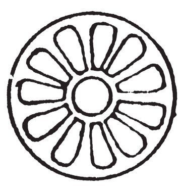 Rozet tasarım Knop ve kapalı bir tomurcuk ile alternatif tarafından çiçek olarak, palmet şekillendirme Sha Abbas desen, çizim için vintage veya oyma ile alternatifler.