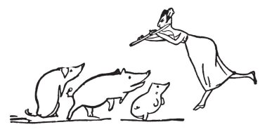 Edward Lear, flüt çalmaya bir bayan bu sahne gösterir ve onun önünde duran üç domuz vintage satır çizim veya gravür illüstrasyon