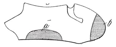 Önyükleme çorap ulaşan bir nokta, vintage çizgi çizme veya illüstrasyon oyma kısa çorap vardır.