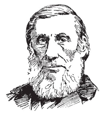 John Tyndall, 1820-1893, he was a prominent nineteenth-century Irish physicist, famous for the Tyndall effect, vintage line drawing or engraving illustration clipart