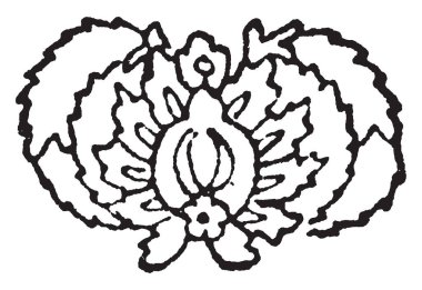 Herati tasarım Herat eski şehir kökenli, Orient, vintage çizgi çizme veya oyma illüstrasyon halı yapımı bölümlerinin yarısında birçok değişiklikler kullanılmıştır.