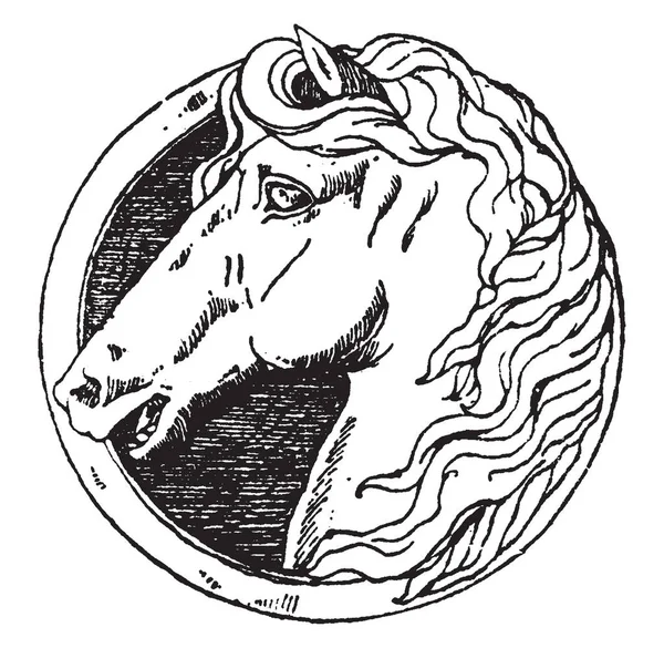 Horse Head Design Allemand Moderne Dessin Ligne Vintage Illustration Gravure — Image vectorielle