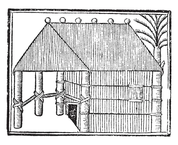 Hispaniola House Che Isola Cui Colombo Sbarcò Nel 1492 Disegno — Vettoriale Stock