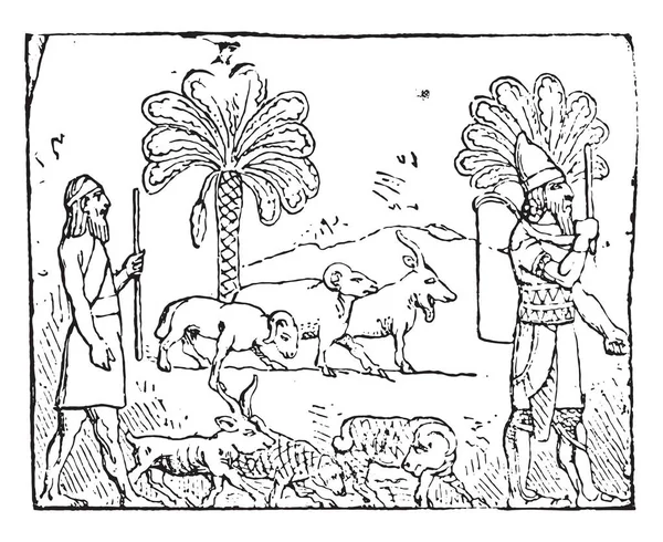 Pásztorok Vintage Vésett Illusztráció — Stock Vector