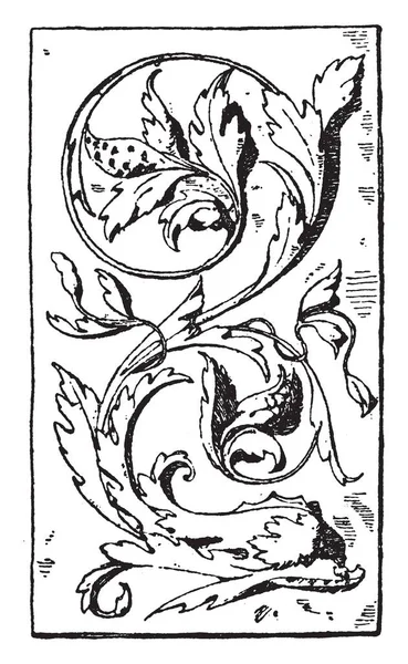 Dolphin Panel Fue Diseñado Durante Renacimiento Veneciano Dibujo Línea Vintage — Archivo Imágenes Vectoriales