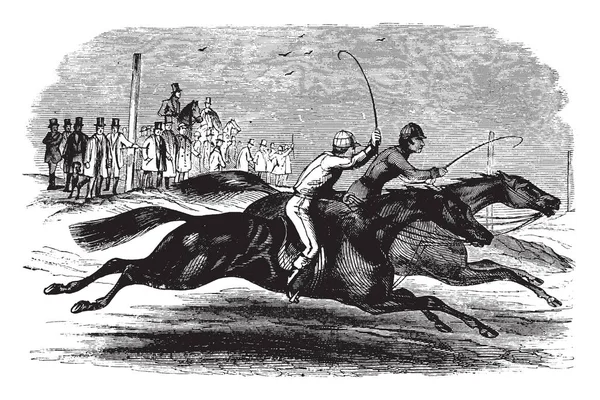 Ilustracja Przedstawia Dwa Konie Wyścigi Vintage Rysowania Linii Lub Grawerowanie — Wektor stockowy