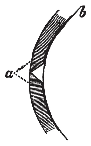 Deze Afbeelding Vertegenwoordigt Ooglid Vintage Lijntekening Gravure Illustratie — Stockvector