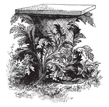 Bir çok ortak dekoratif bitki, vintage çizgi çizme bir kaide önünde bir acanthus bitki gösterilen veya illüstrasyon oyma bir resim.