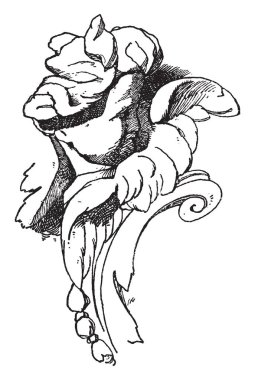 Melek yüz Germanisches Museum, vintage çizgi çizme veya oyma illüstrasyon çerçevede bir parçası olarak.