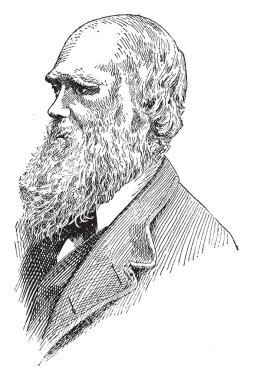 Charles Darwin, 1809-1882, he was an English naturalist, geologist and biologist, famous for his contributions to the science of evolution, vintage line drawing or engraving illustration clipart
