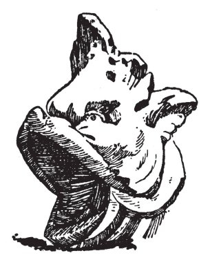 Yunus kafa bir emzik, vintage çizgi çizme veya oyma illüstrasyon şeklinde gösterilir.