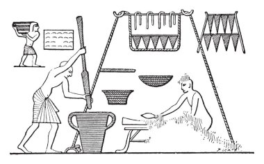 Kiler ile Mısır bir mutfak, vintage illüstrasyon kazınmış.