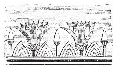 Lotus çiçekleri, vintage illüstrasyon kazınmış. Endüstriyel ansiklopedi E.-O. Lami - 1875