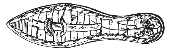 Ägyptische Sohle Vintage Gravierte Illustration — Stockvektor