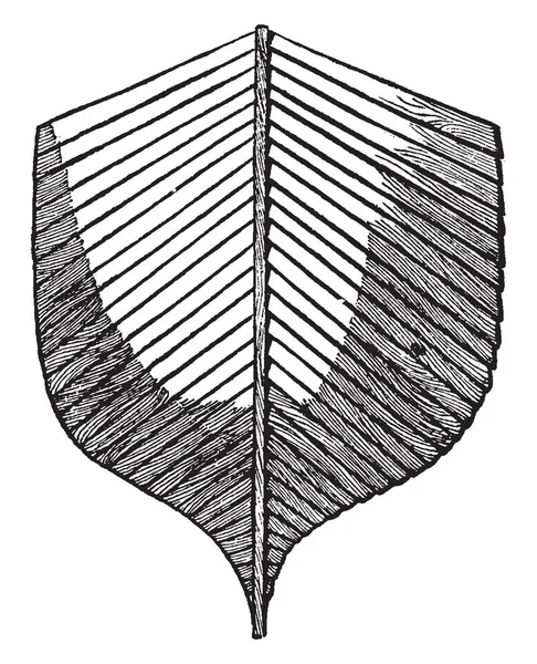 Clincher Tipo Barco Hecho Muchas Piezas Tableros Placas Que Superponen — Archivo Imágenes Vectoriales