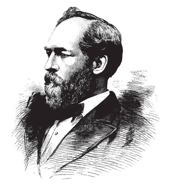 一般ジェームズガー フィールド 1831 1881 彼はアメリカ合衆国 オハイオ州 ヴィンテージの線描画や彫刻イラストから米国の衆議院のメンバーの の大統領 — ストックベクタ
