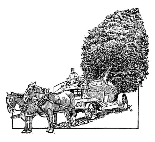 Esta Ilustración Representa Transporte Árboles Dibujo Línea Vintage Ilustración Grabado — Vector de stock