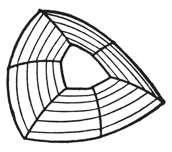 这张图代表了水晶平面的曲率 复古线画或雕刻插图 — 图库矢量图片