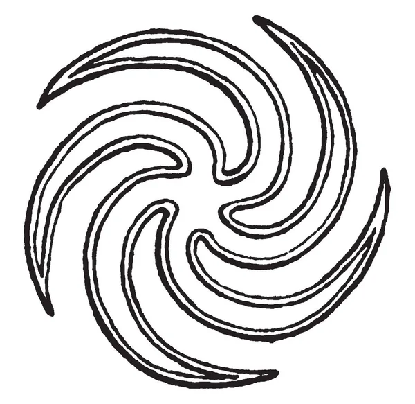 Bitki anatomisi, öyle düzenleme bırakır Bud, vintage çizgi çizme veya oyma illüstrasyon.