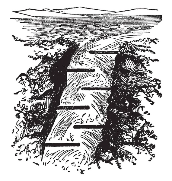 Salmon Ladder Est Poisson Bien Connu Dessin Ligne Vintage Illustration — Image vectorielle