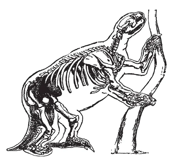 Mylodon Robustus Género Extinto Perezosos Terrestres Que Vivió América Del — Archivo Imágenes Vectoriales