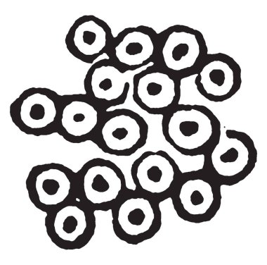 Caterpillar Lepidoptera, vintage çizgi çizme veya oyma illüstrasyon sipariş üyeleri larva aşamasıdır.