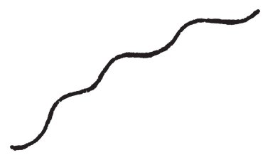 Bitki adı gösterilen bir zikzak çizgi, vintage çizgi çizme veya illüstrasyon oyma undulate resmini.