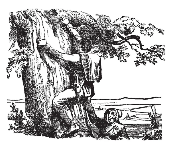 クライミング ツリーと彼 ビンテージの線描画や彫刻イラストにサポートを与えてツリーの近くに立って別の男男 — ストックベクタ