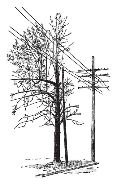 Ici Les Brindilles Arbre Sont Associées Aux Fils Sur Pilier — Image vectorielle