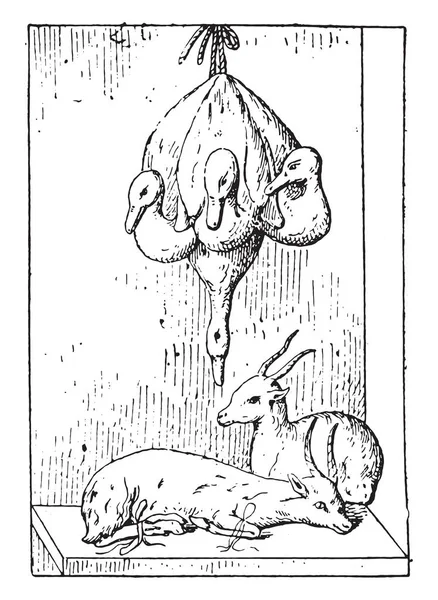 Duck Game Vintage Engraved Illustration — Stock Vector